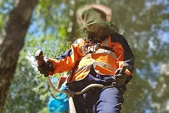 Женщины-осужденные в Нижнем Тагиле заработали на покосе травы более 100 тысяч рублей