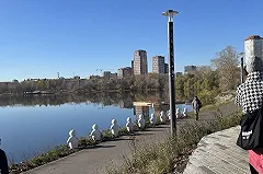 В Екатеринбурге разрушили новый парк за 36 миллионов в центре города