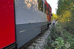 Под Екатеринбургом посреди леса сломалась электричка