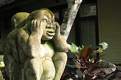 ЛДПР предложила упразднить частные туристические компании