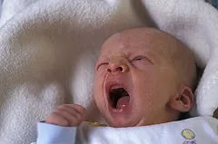 Психопата можно распознать уже на первых неделях его жизни