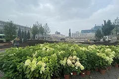 Площадь 1905 года закроют на месяц