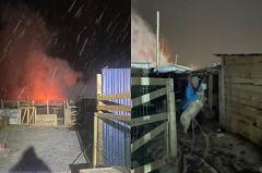 Погибли десятки собак и кошек: под Екатеринбургом сгорел приют для животных