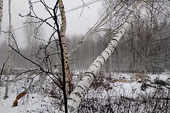 Жители поселка под Екатеринбургом остались без света и воды