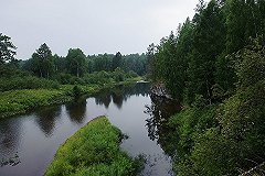 «Во-первых, длинное». Синоптик Шепоренко назвала главные «нестандартности» ушедшего лета