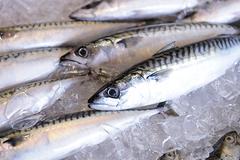 С 1 января 2014 года запрещен ввоз норвежской рыбы в Россию