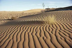 Мир через 15 лет: войны за воду и еду, ядерные атаки, бунт роботов