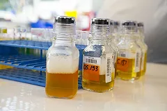 Эксперт WADA: Российский спорт может оказаться в международной изоляции