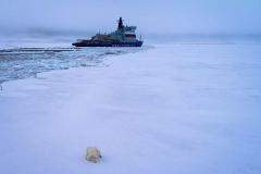 Атомный ледокол «Арктика» достиг Северного полюса