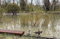 В Екатеринбурге набережная в центре ушла под воду
