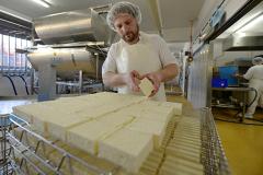 «УГМК-Агро» начнет производство козьего сыра весной 2017 года