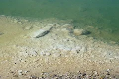 Российский турист смог утонуть на Мёртвом море