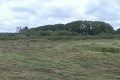 В Екатеринбурге сотрудники полиции ликвидировали поле дикорастущей конопли