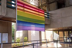 Украинские депутаты подрались в прямом эфире из-за гей-парада