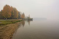 Минприроды расторг контракт по благоустройству Шарташского лесопарка