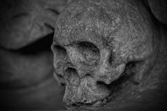В Екатеринбурге нашли фрагменты человеческого черепа