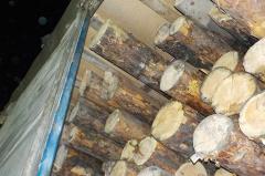 Уральскую деловую древесину не выпустили в Казахстан