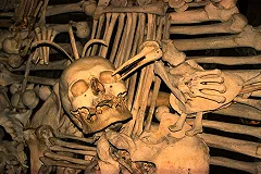 Археологи выяснили рецепты каннибалов