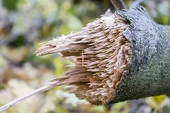 Синоптики объяснили, почему Екатеринбург стало так часто «штормить»