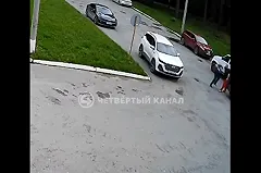 Депутату Вегнеру, рассказавшему об избиении ученого в Екатеринбурге, начали угрожать неизвестные