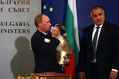 Эттингер пригрозил поддерживающим «Южный поток» странам ЕС