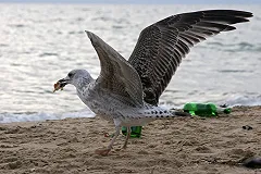 Эксперты о турсезоне-2016: Лето без Турции, майские без Парижа