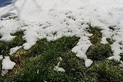 Гидрометцентр: «Прошедший год стал самым тёплым для страны за последние 100 лет»