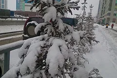 Организаторы «заснеженного» марша в Екатеринбурге: дети были одеты в термобелье