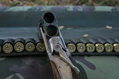 Парк «Бажовские места» намерен создать собственные охотничьи угодья