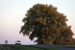 Куйвашев ответил, когда в регионе вновь возобновится туризм