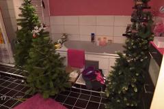 Немец нарядил в своей квартире 444 новогодние елки