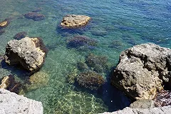 Свердловский депутат не нашел ни одного дешевого авиабилета в Крым