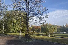 Сквер у Театра Драмы перестал иметь статус религиозного назначения