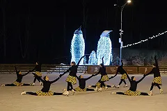 Каток «Северное Сияние» открылся в екатеринбургском ЦПКиО