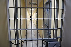 В Екатеринбурге отправили в колонию разбойника, напавшего на гулявшую с собакой женщину (ФОТО)