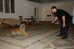 Кадыров попросил подготовить для врагов России VIP-места в психбольницах