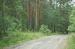 В районе Кольцовского тракта на обочине нашли труп мужчины