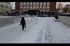 В Первоуральске женщина напала на человека в костюме сперматозоида