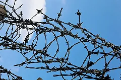 Количество заключенных в России достигло минимума