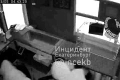 «Персональный голосовой помощник». В Екатеринбурге «Алиса» вспугнула взломщиков магазина