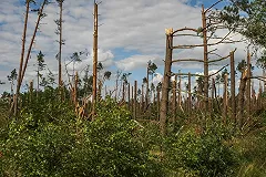 Россия испытала в Сирии накрывающую залпом сто футбольных полей РСЗО