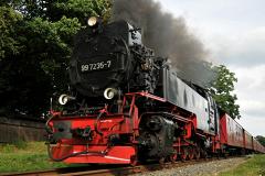 Старинный поезд сошел с рельсов в Швейцарии: 16 раненых