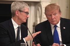 Трамп заявил, что намеренно назвал главу Apple Тима Кука Тимом Эпплом