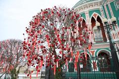 Выяснилось, кто украсил аллею возле Дома Севастьянова алыми розами