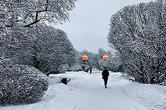 Синоптики рассказали, какой будет погода в Свердловской области зимой