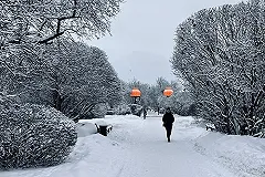Синоптики рассказали, какой будет погода в Свердловской области зимой