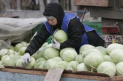 В свердловских городах может не хватить овощей и фруктов