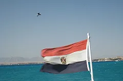 Депутата Коробейникова, застрявшего в Египте, троллят коллеги