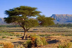 В Марокко решили увеличить турпоток из России на 400 процентов