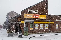 Еда из насекомых появится в продаже в Швейцарии, впервые в Европе